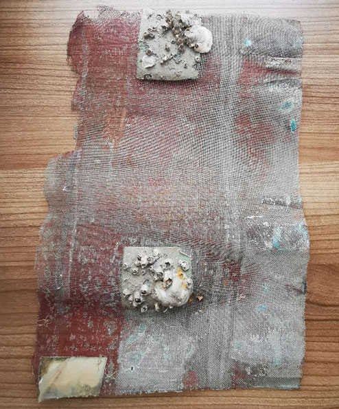 海洋环境下监测仪器生物附着情况分析