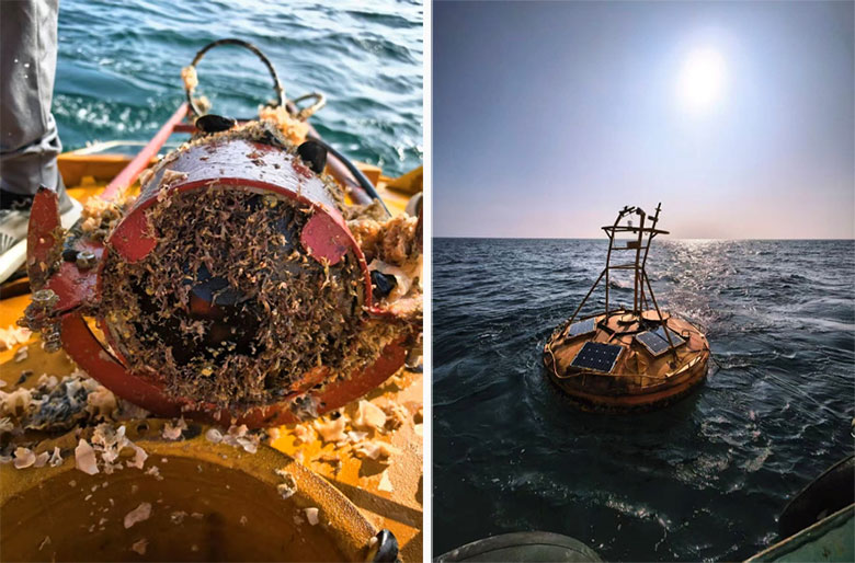 滨海远海3米综合海洋监测浮标7月维护工作顺利开展